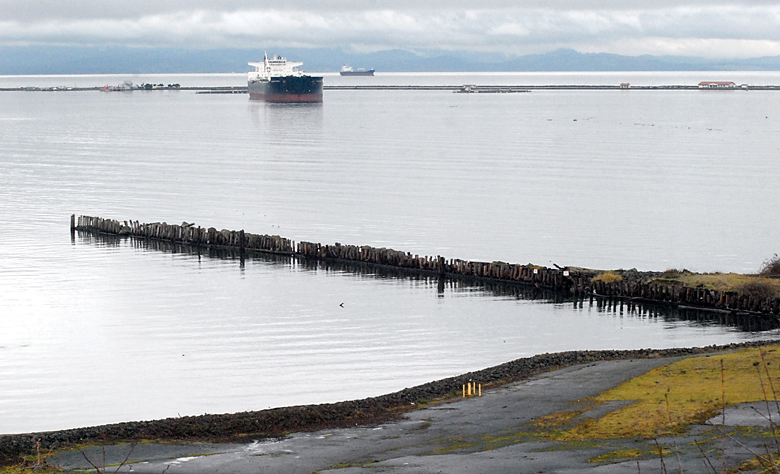 A view of Port Angeles Harbor on Tuesday. — Keith Thorpe/Peninsula Daily News ()