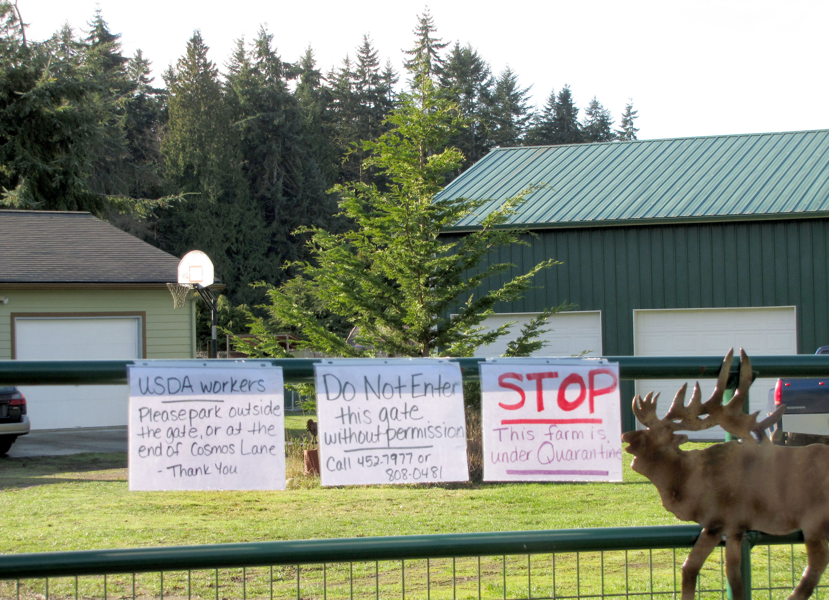 Hand-drawn signs are placed at the gate to property on Cosmos Lane in Agnew on Monday where the North Olympic Peninsula's first reported avian flu case was discovered. (Arwyn Rice/Peninsula Daily News)