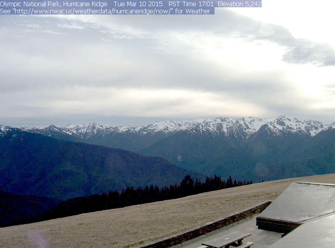 No snow was to be found on Hurricane Ridge on Tuesday. (National Park Service)