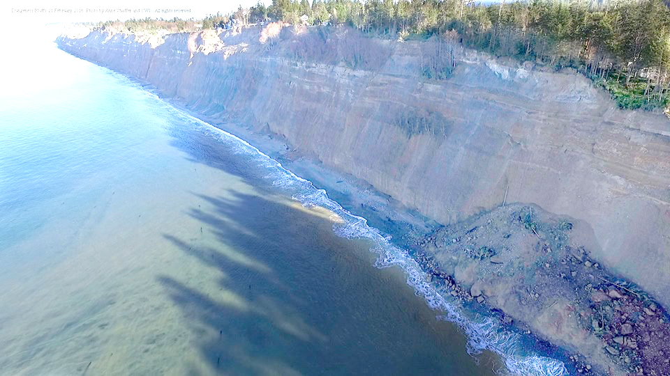 Sediment is continuously dispersed from bluff erosion west of Dungeness Spit