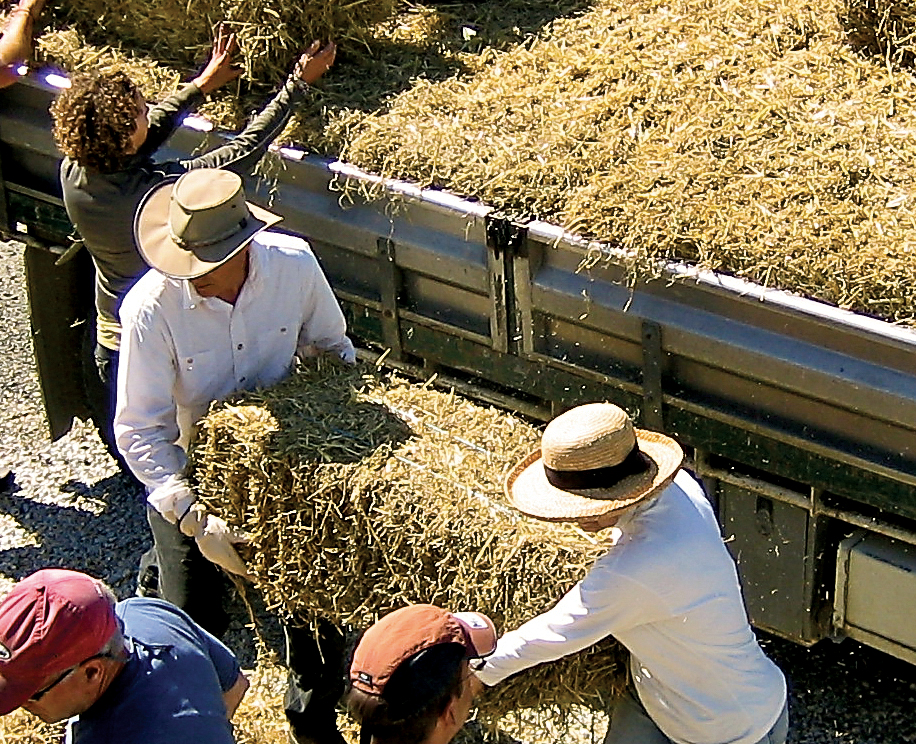 Volunteers transfer bales of straw during construction of a straw-bale home similar to that soon to start in Port Angeles. (Submitted photo)