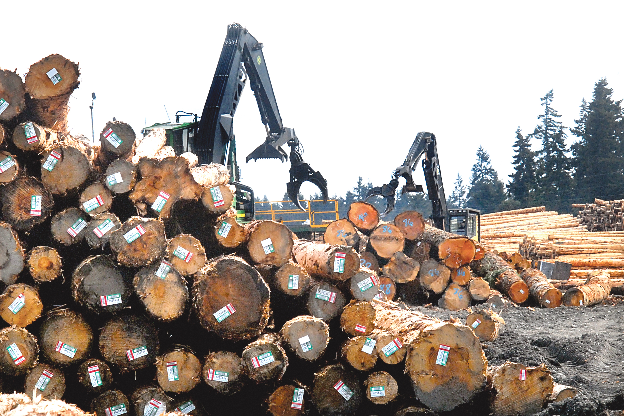 A pair of log loaders operate at the Port of Port Angeles log yard near William R. Fairchild International Airport in Port Angeles on Tuesday. (Keith Thorpe/Peninsula Daily News)