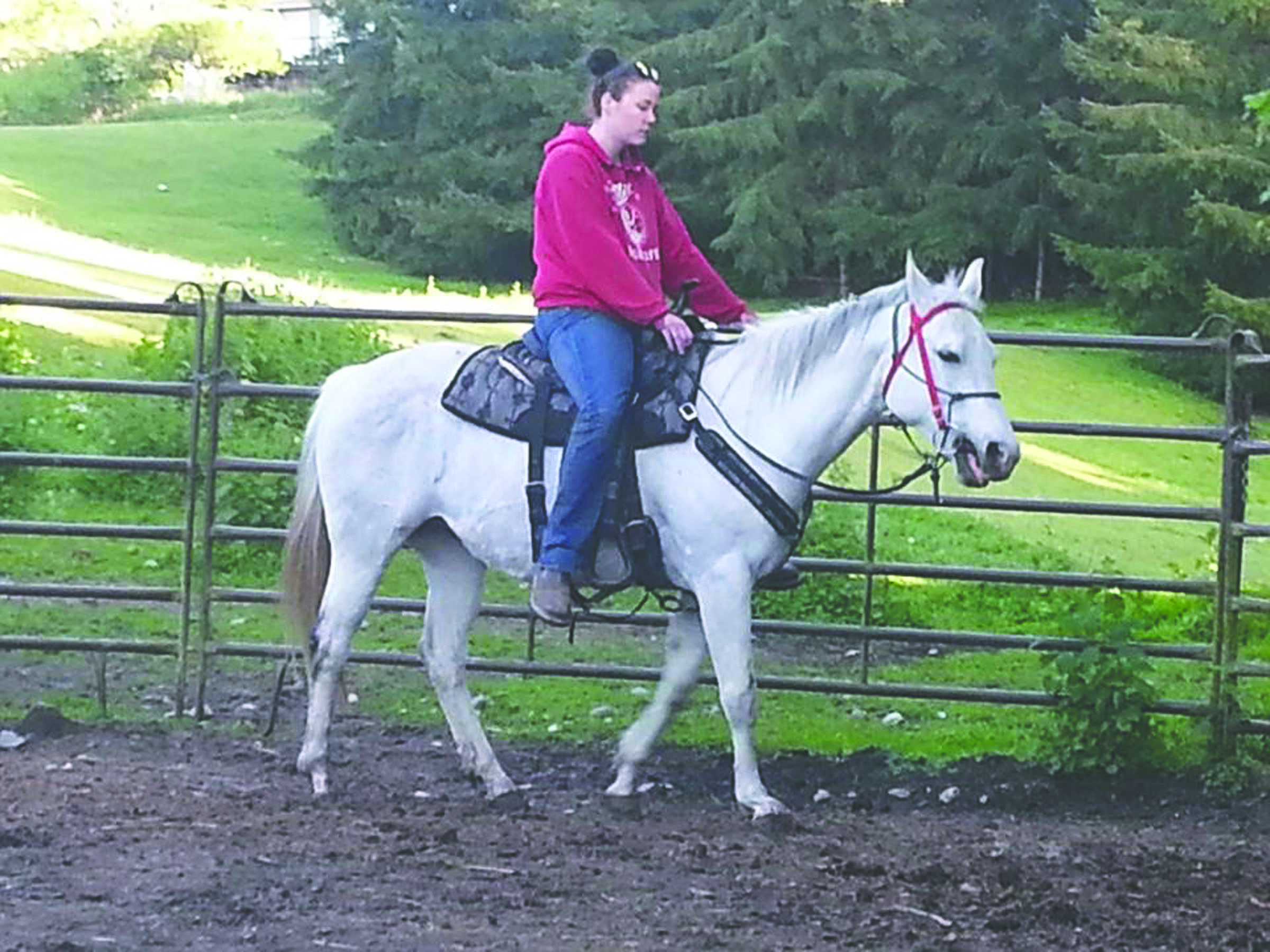 Port Angeles horse trainer Taylor Lemon volunteers her time to work with horses available for adoption from the Olympic Peninsula Equine Network. She is seen here riding Eve