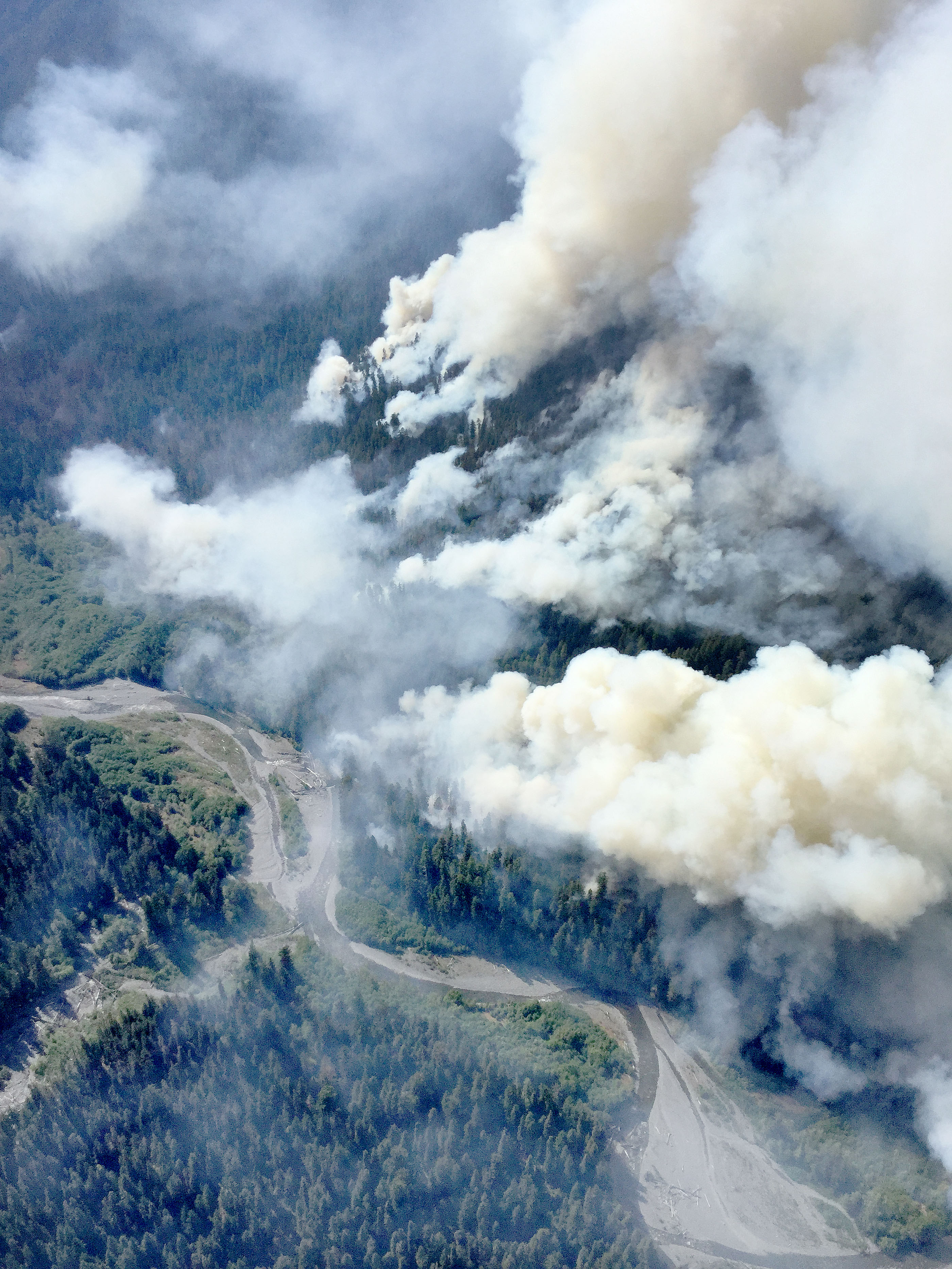 In this U.S. Forest Service aerial photo