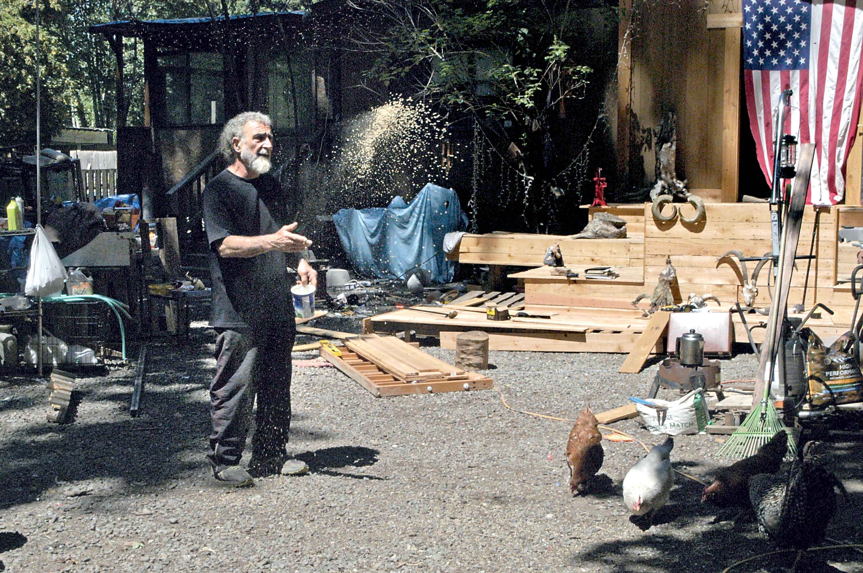 John Dashti feeds his chickens and roosters Tuesday afternoon