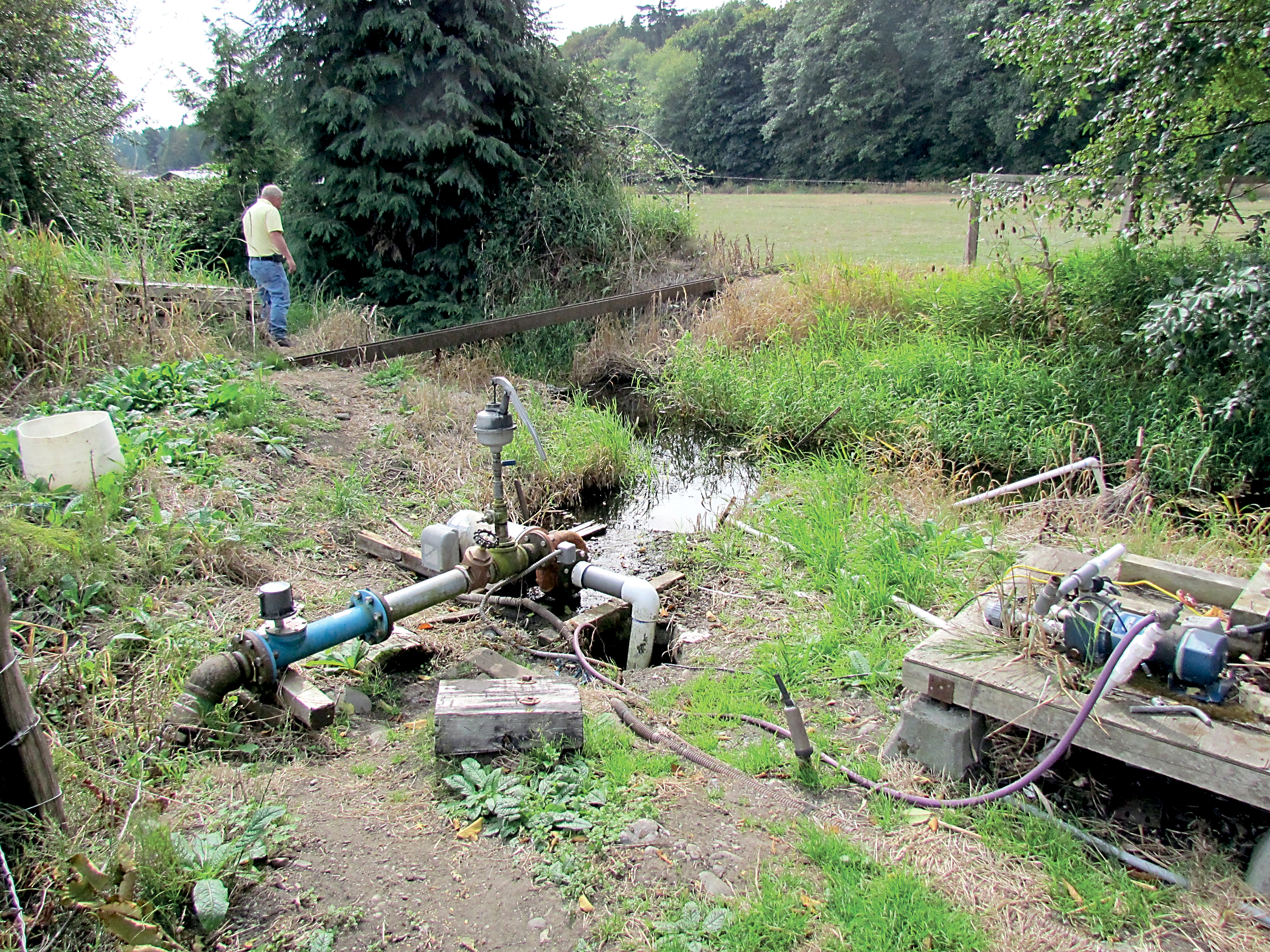 The Maple View Dairy Farm irrigation pump draws augmented water from lower Bell Creek for agricultural pasture irrigation as Utilities Manager Peter Tjsemsland peers into the creek. — City of Sequim