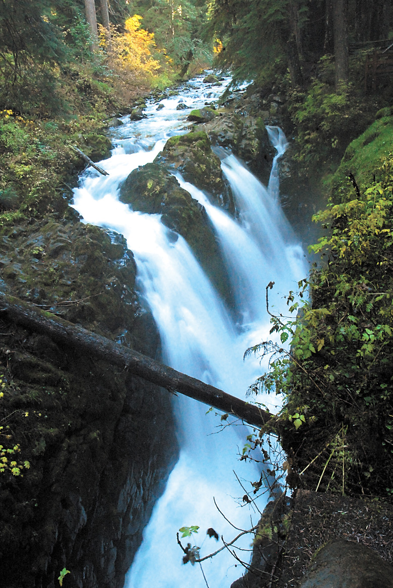 Sol Duc Falls in the Sol Duc Valley is one of the prime attractions in Olympic National Park. Keith Thorpe/Peninsula Daily News