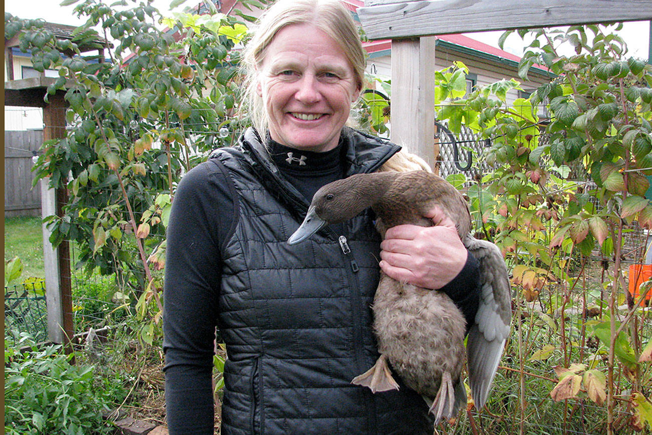 Gardening with ducks latest Master Gardener talk in Port Angeles