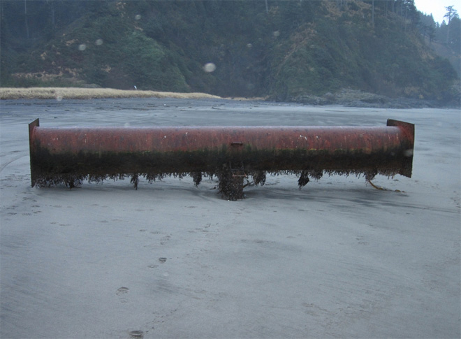 How could something like this float across the Pacific? Washington state Department of Ecology