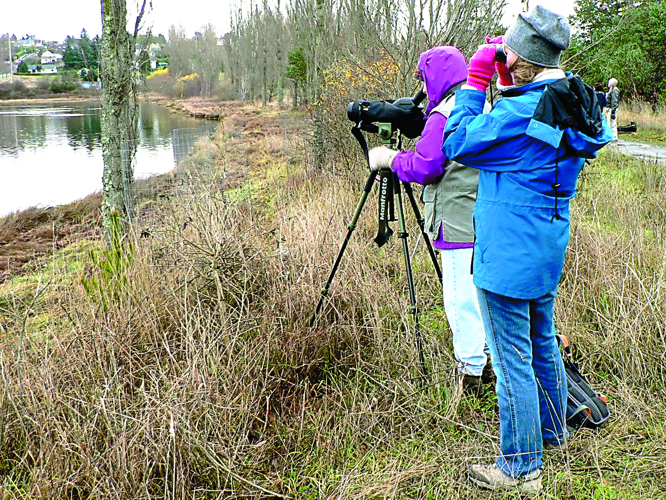 Volunteer birdwatchers count bird species at Kah Tai Lagoon in Port Townsend during last year's Christmas Bird Count