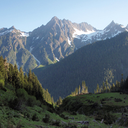 O'Neil Pass area in Olympic National Park. National Park Service