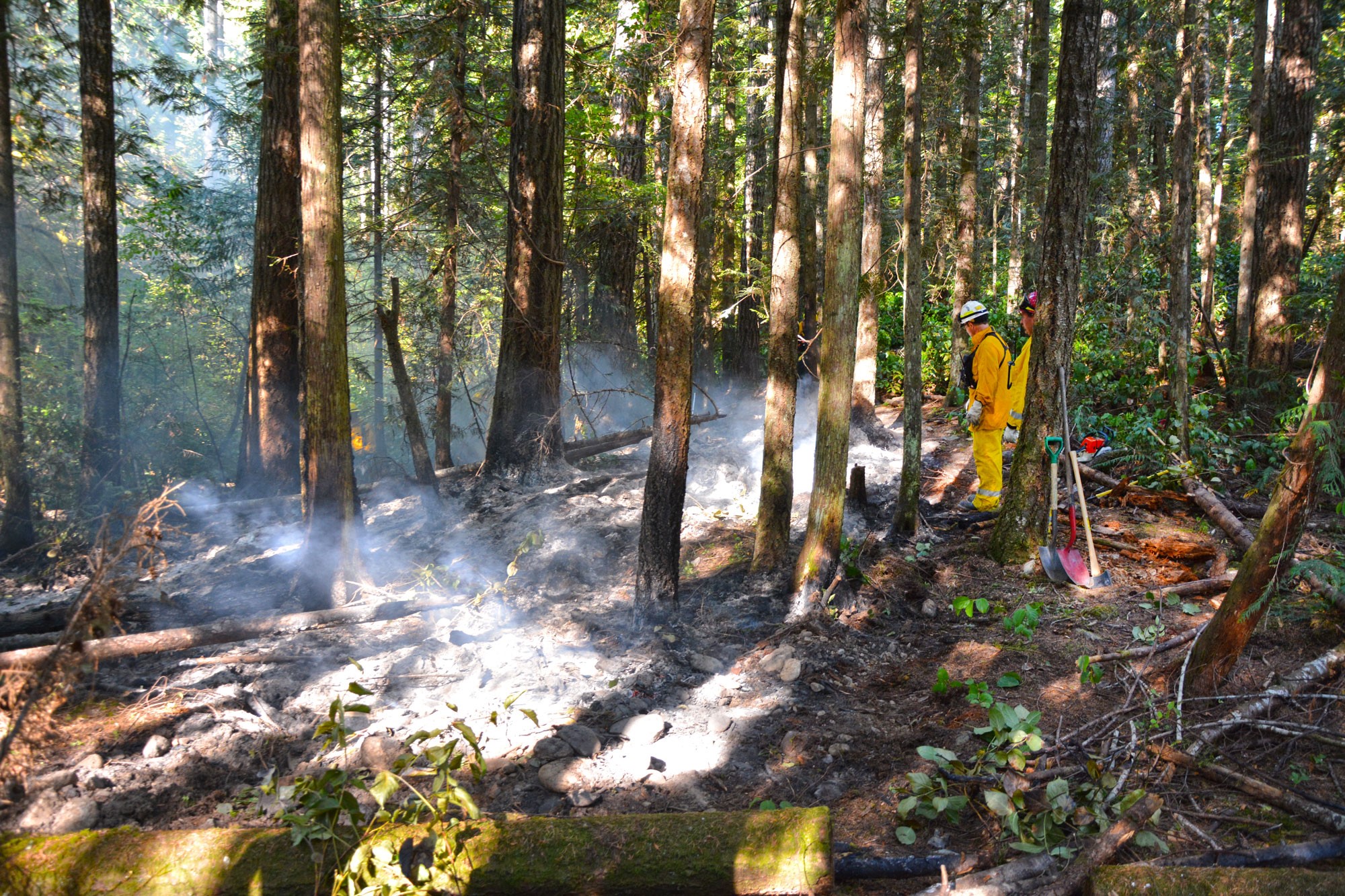 The scene from Sunday morning west of Port Angeles. Clallam County Fire District No. 2