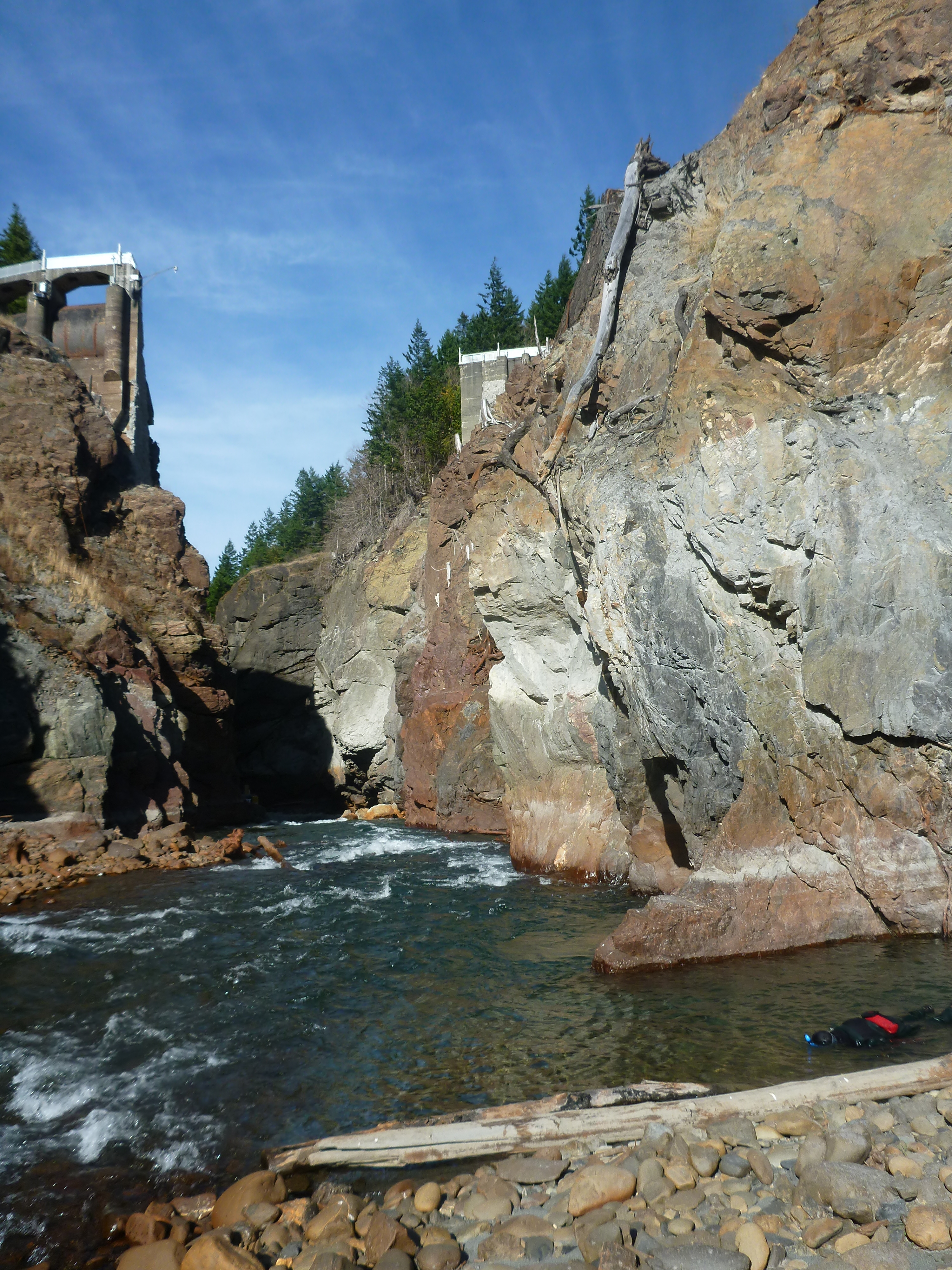 A member of the Olympic National Park fisheries team