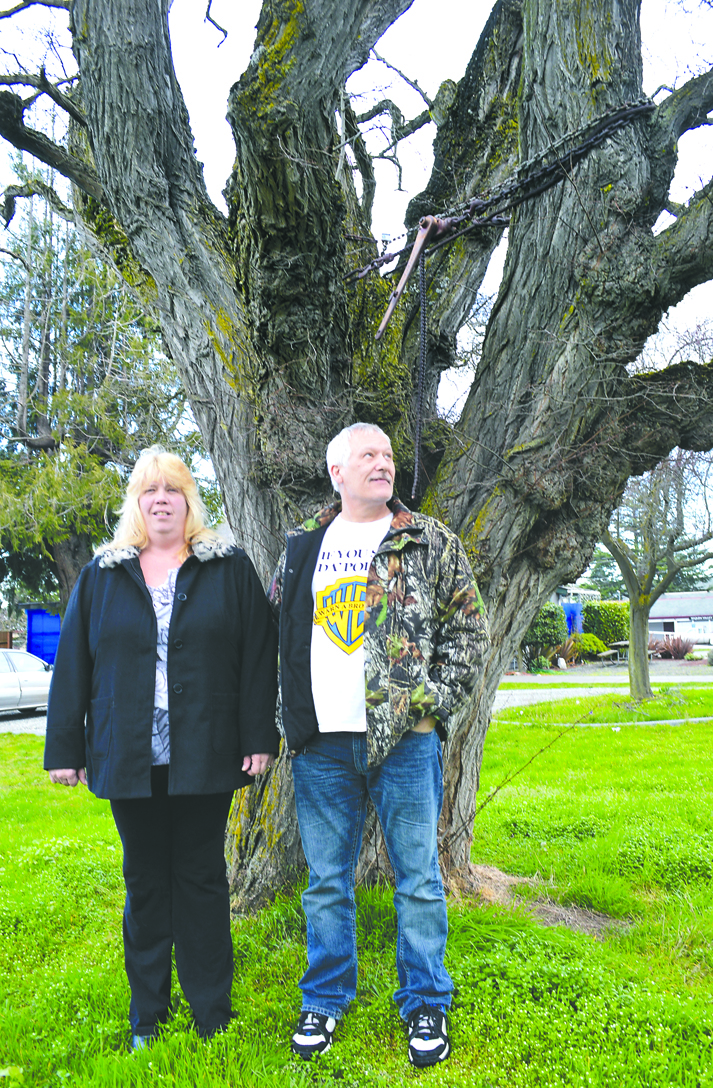 Newlyweds Janeane and Charles Darland in front of the old locust tree in Sequim. Joe Smillie/Peninsula Daily News