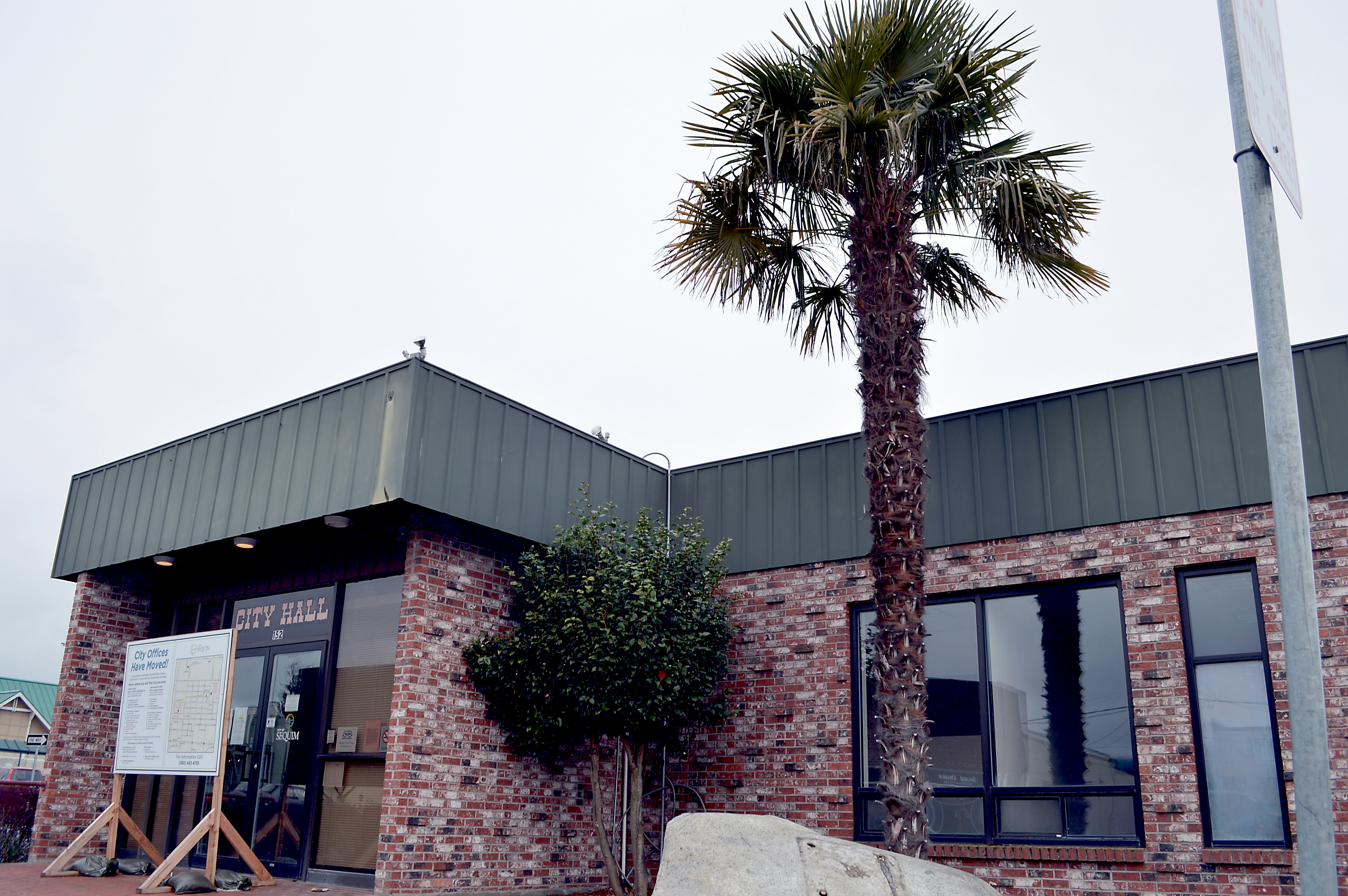 The Sequim City Hall and its palm tree. One will be razed