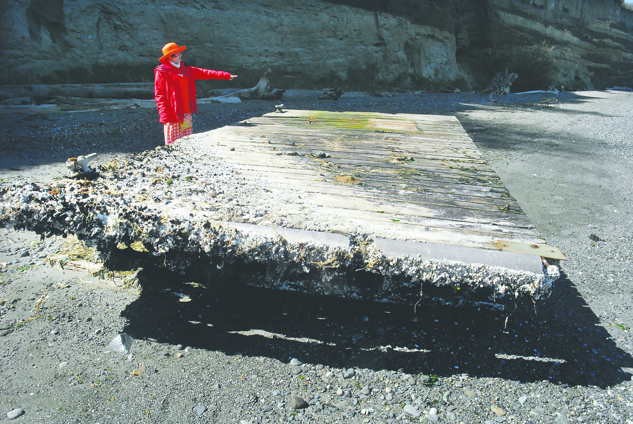 Renee Emiko Brock-Richmond of Sequim points out portions of a piece of dock that washed ashore on Port Williams Beach north of Marlyn Nelson County Park. Keith Thorpe/Peninsula Daily News