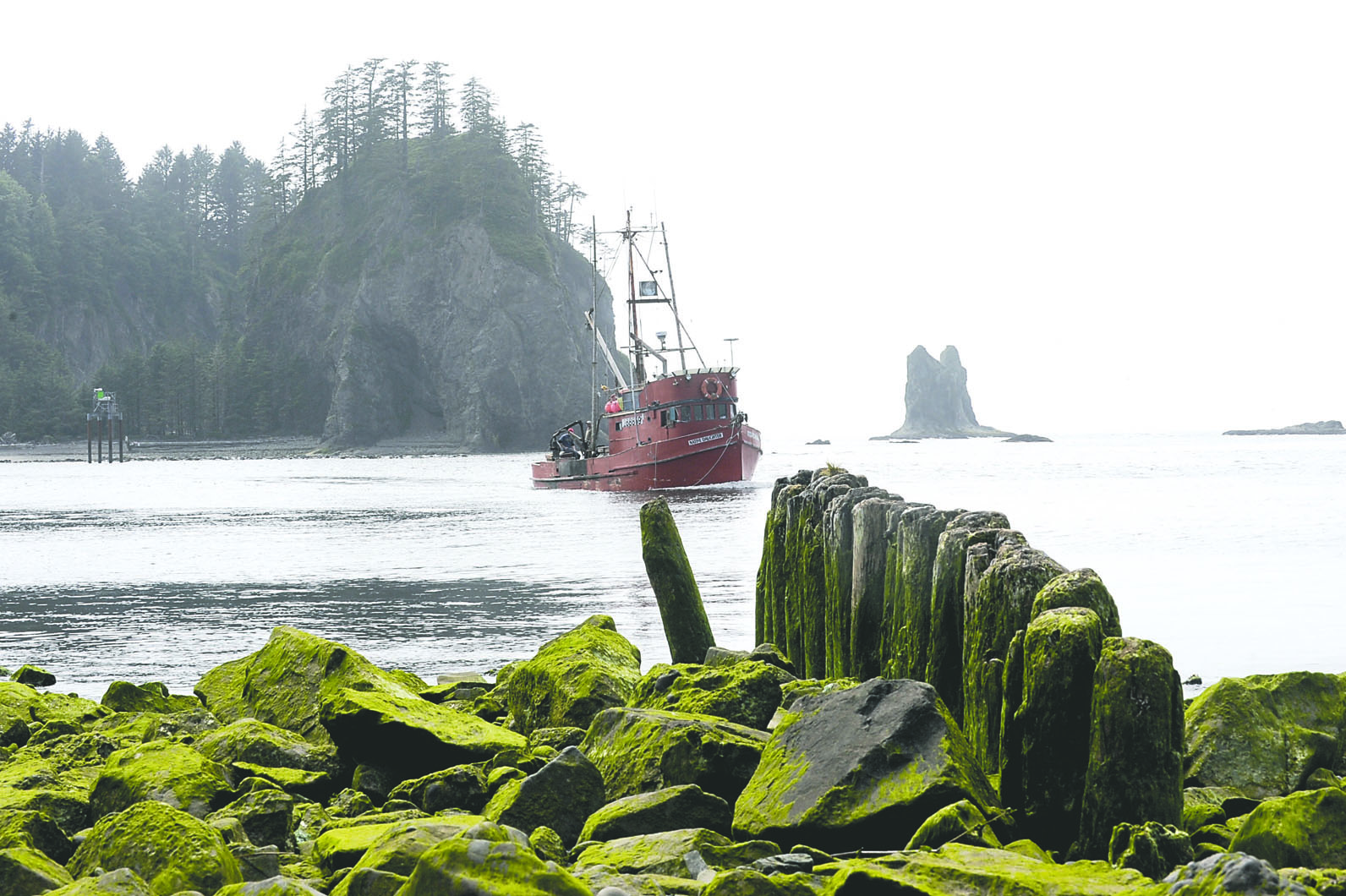 Quillayute Harbor in LaPush generally gets dredged a few years. Not anymore