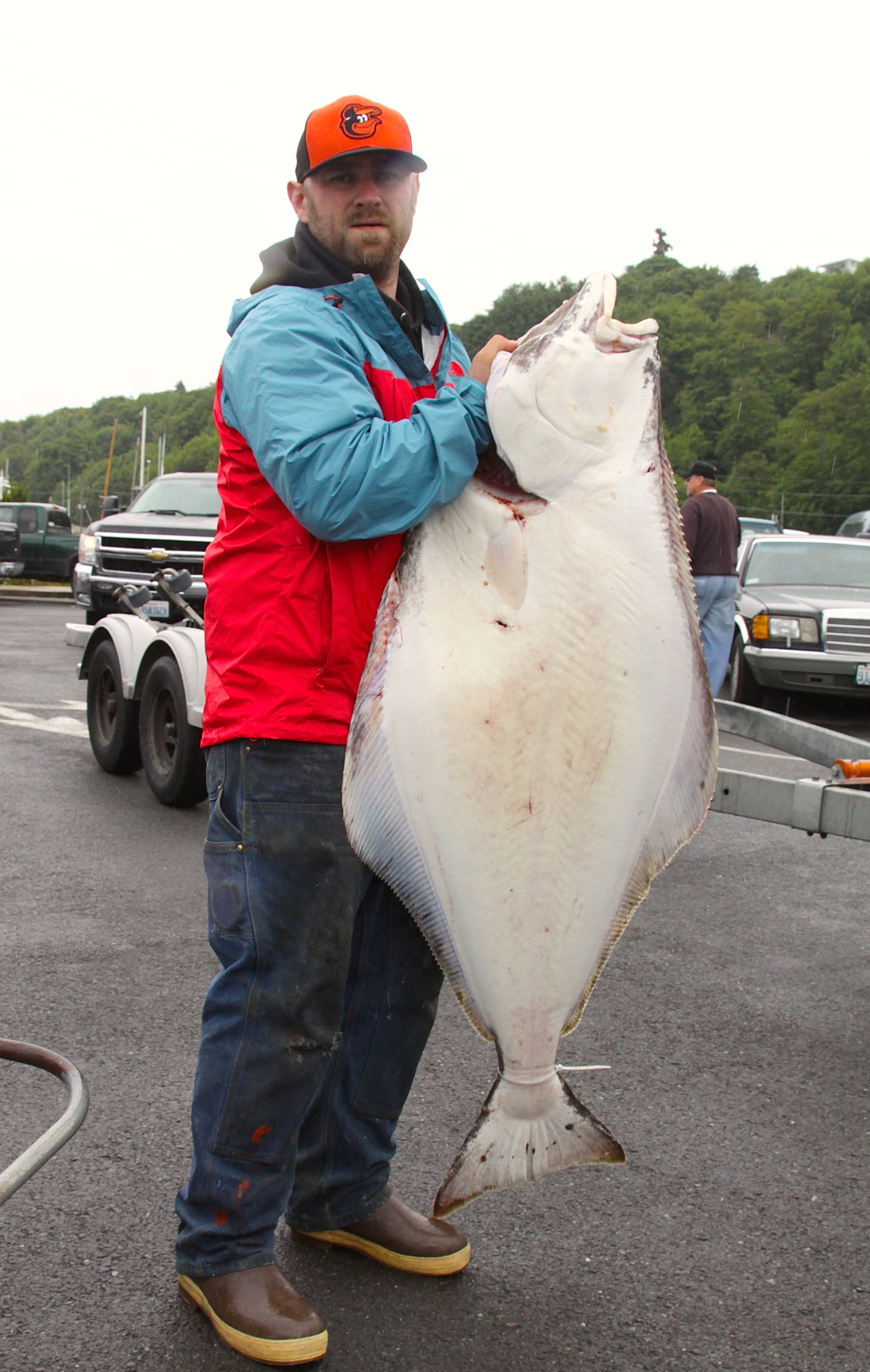 Tyril Spence won the Port Angeles Salmon Club's halibut derby by catching this 81-pound flatty Sunday. Dave Logan/for Peninsula Daily News