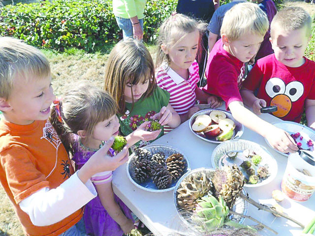 Quilcene kindergarteners participate in the Farm-to-school program. They are