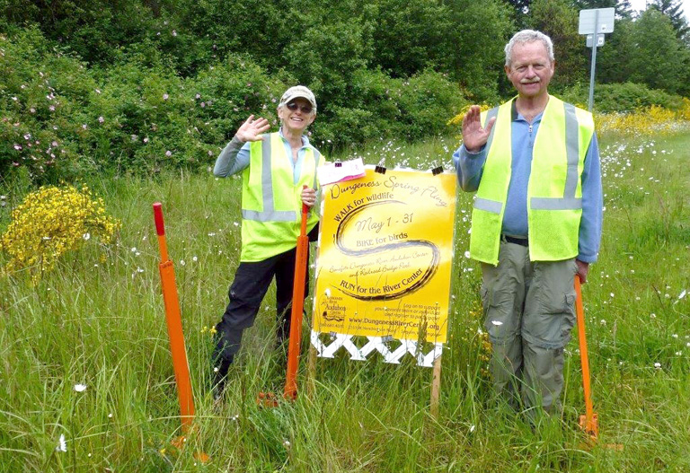 Gretha and Doug Davis wave to the camera as their Broom Busters team removes scotch broom from along the Olympic Discovery Trail east of Sequim during last month's Spring Fling challenge. Julie Jackson