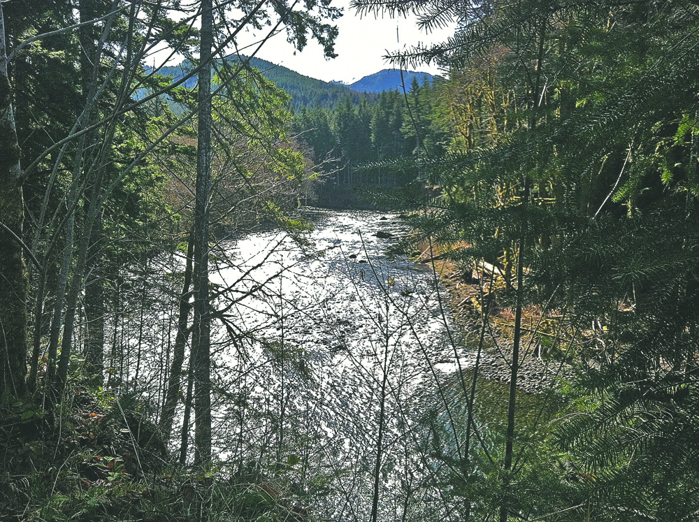 The Sol Duc Sanctuary