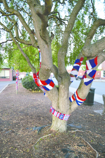 Several trees are wrapped in patriotic knittings on the 100 block of West Cedar Street in Sequim