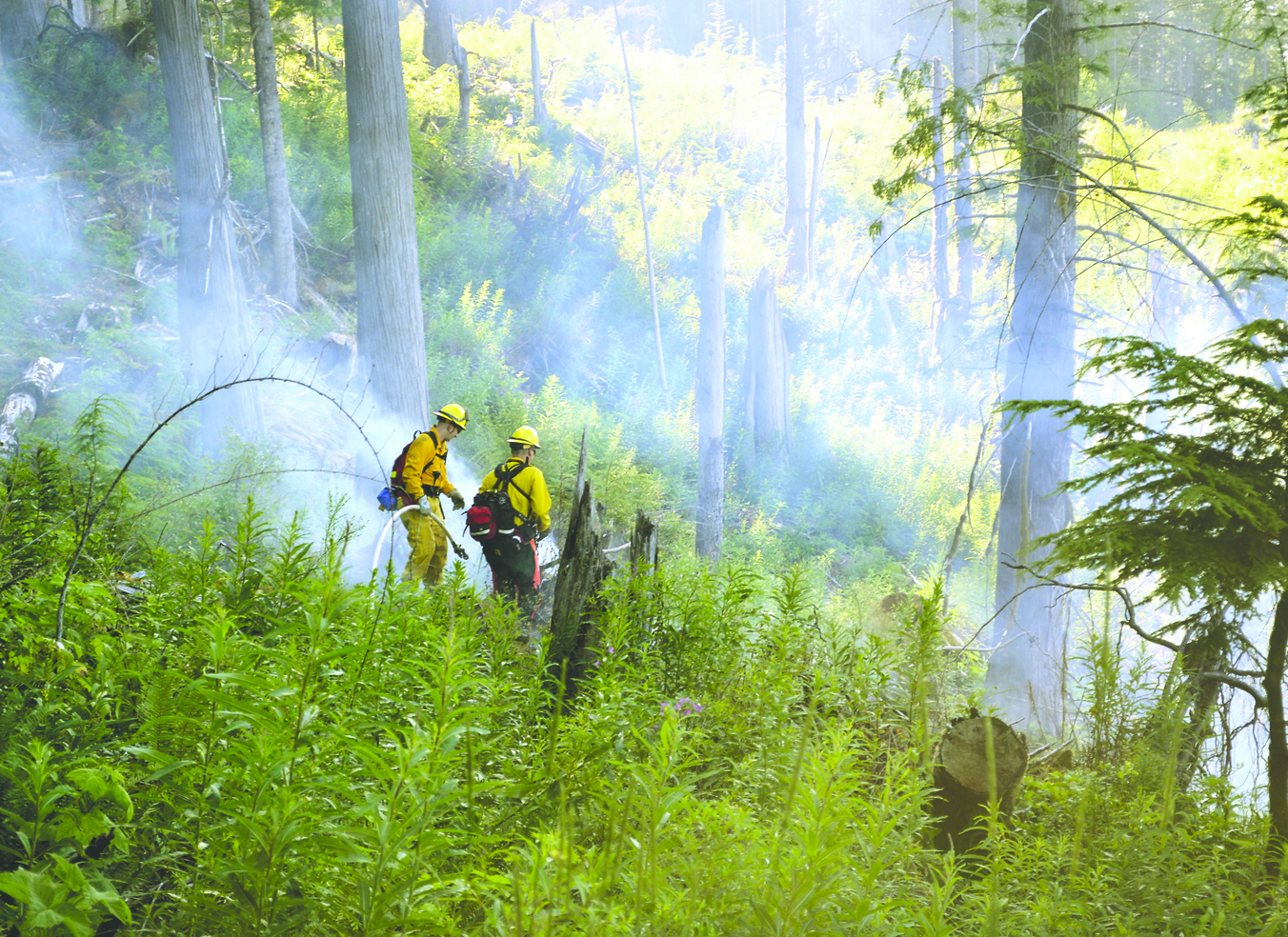 Firefighters attack a brush fire south of Lake Sutherland near District of Natural Resources land Thursday. Clallam County Fire District No. 2