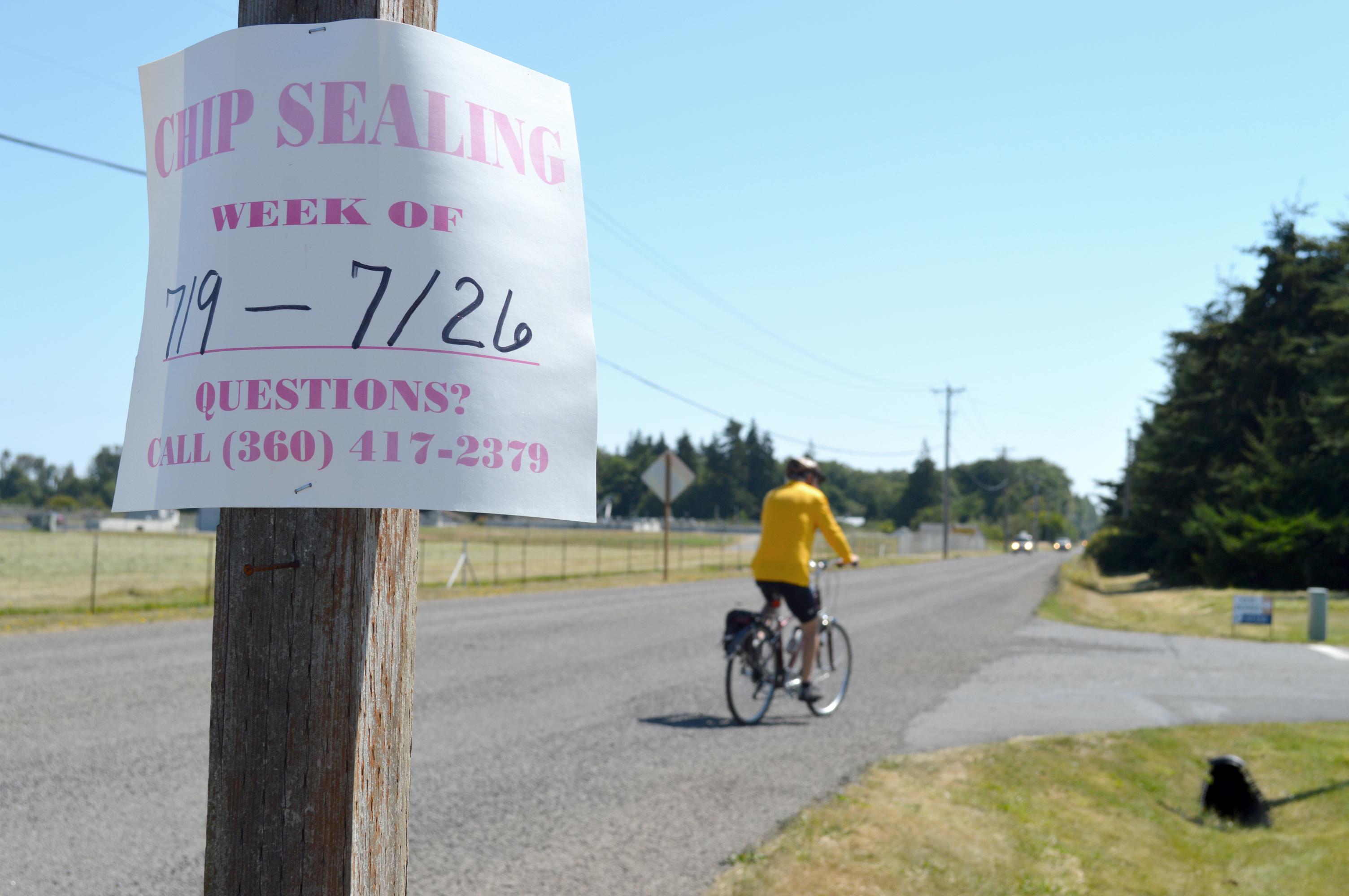 A sign announces the chip-sealing of Woodcock Road east of Sequim-Dungeness Way in Sequim during the city's biggest tourism weekend of the year. Joe Smillie/Peninsula Daily News