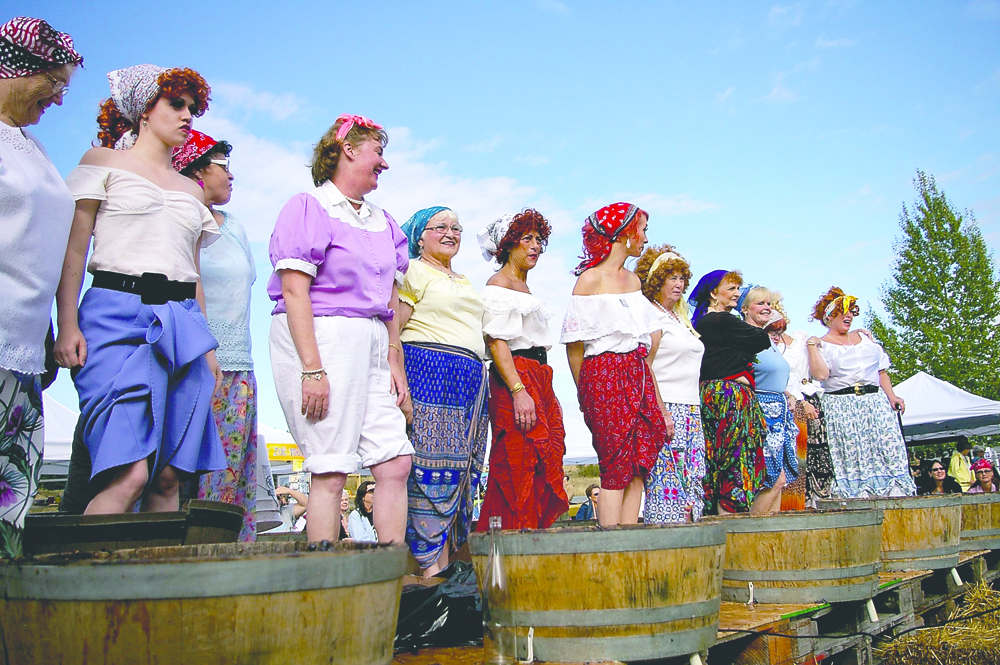 The lineup of Lucys — Lucille Ball look-alikes — has been one of the activities at the Olympic Cellars Grape Stomp. The stomp and harvest party return to the Port Angeles winery Saturday. Olympic Cellars