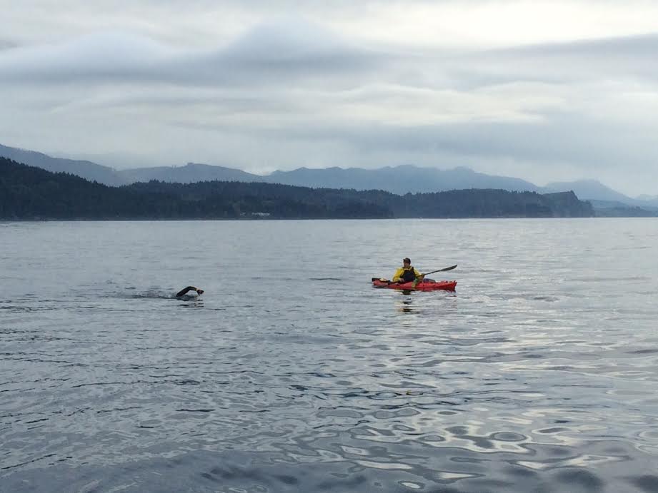 A kayaker watches over one of the three swmmers who are en route today to Vancouver Island from the North Olympic Peninsula. Chris Simmons