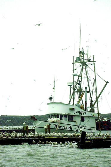 The fishing vessel Maverick is shown in 2005. It collided with another vessel and sank on Friday morning. Lonnie Archibald/for Peninsula Daily News