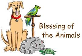 Have your pet blessed on Sunday