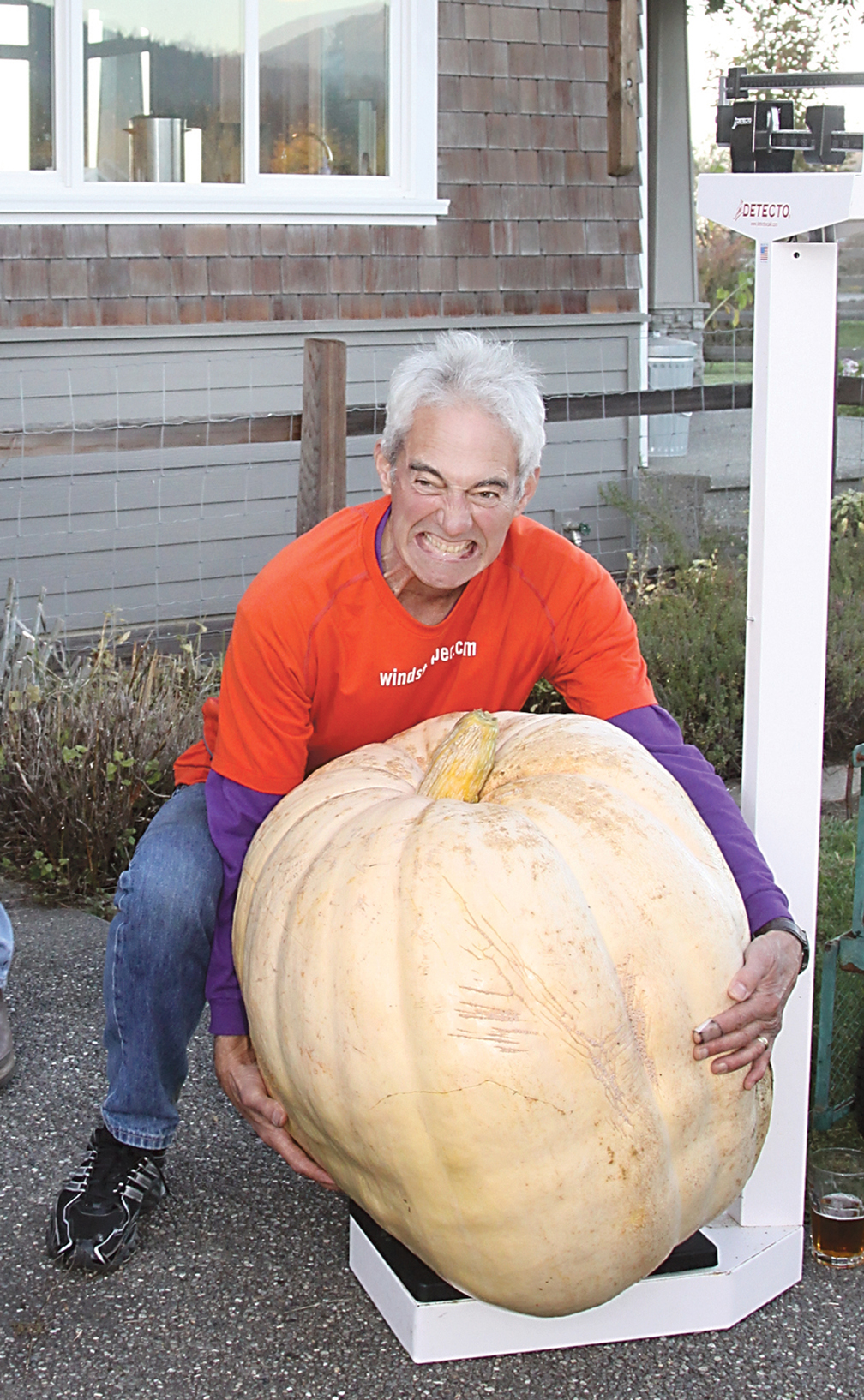 Dan Welden feigns lifting his 200-pound-plus pumpkin off the scales. Dave Logan/for Peninsula Daily News