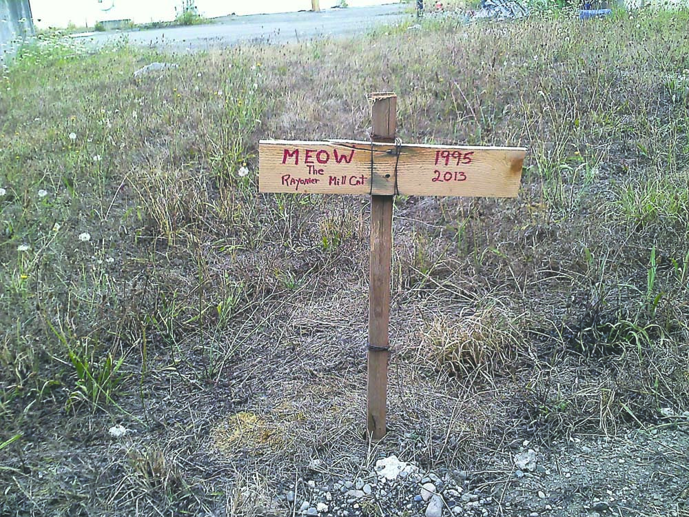 Meow the cat's gravesite on the shuttered Rayonier mill site in  Port Angeles.