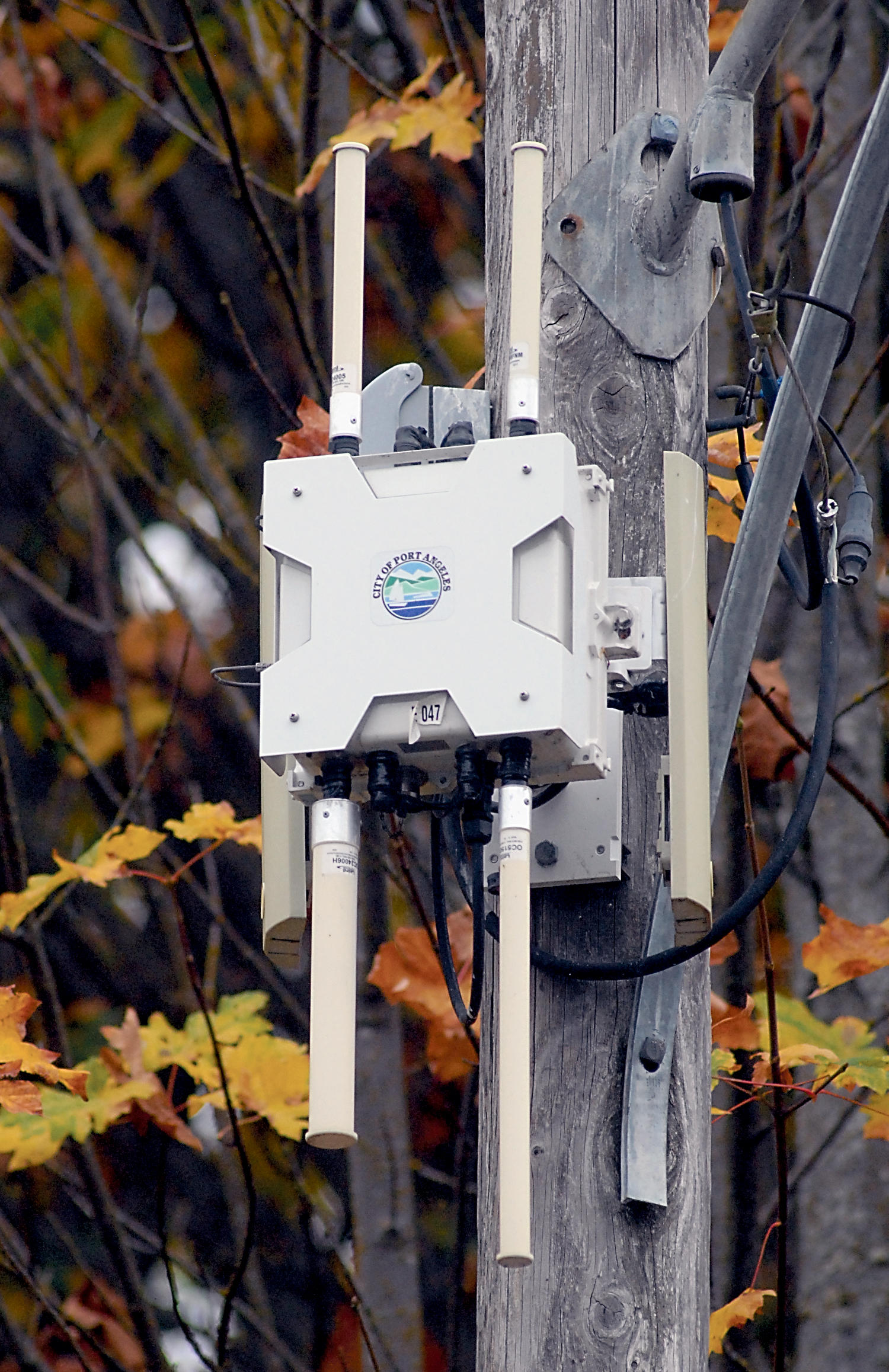 The city of Sequim has imposed a moratorium on mini Wi-Fi/cellphone towers