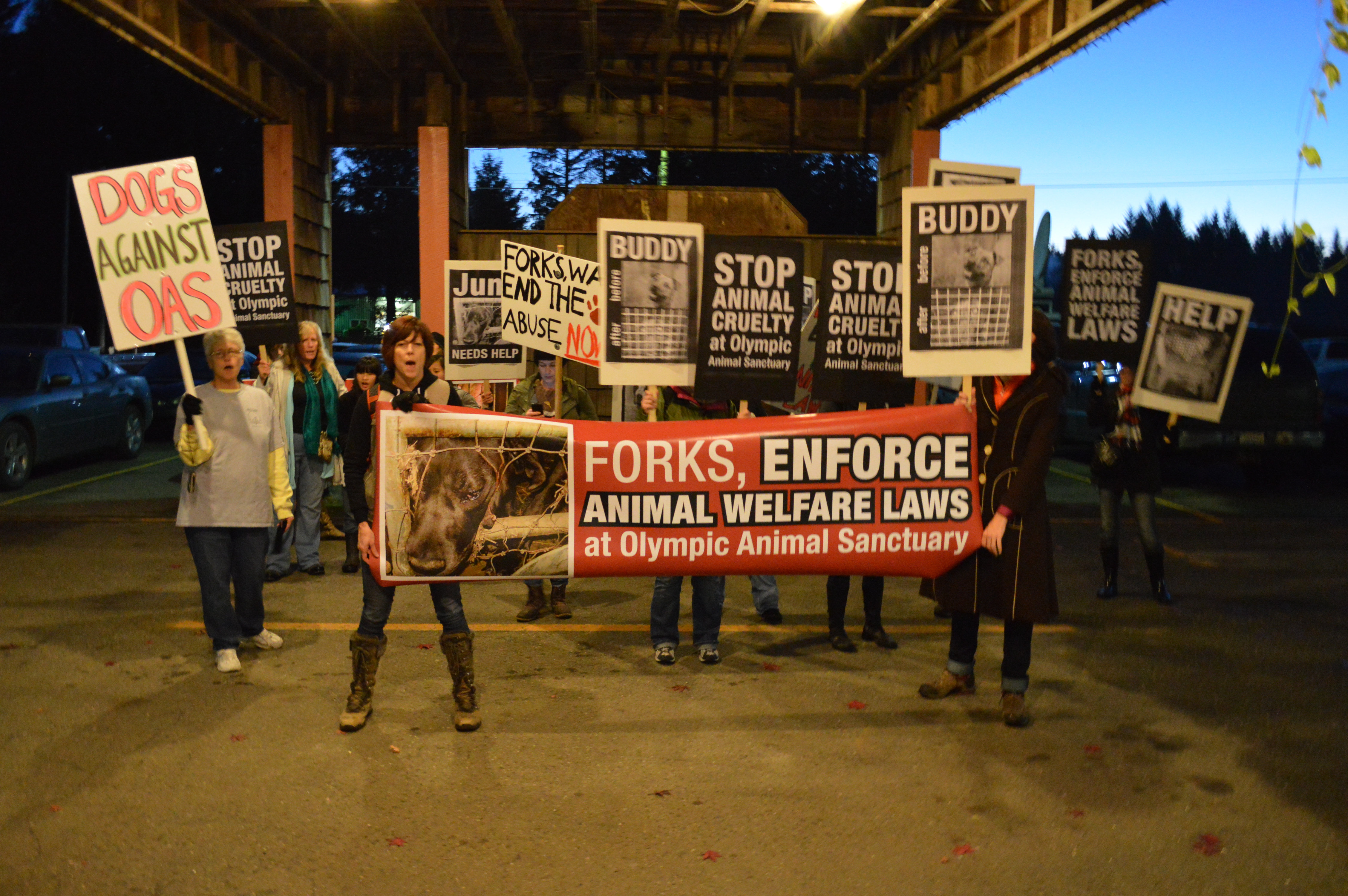 Protesters carry signs against the Olympic Animal Sanctuary in Forks today. Joe Smillie/Peninsula Daily News