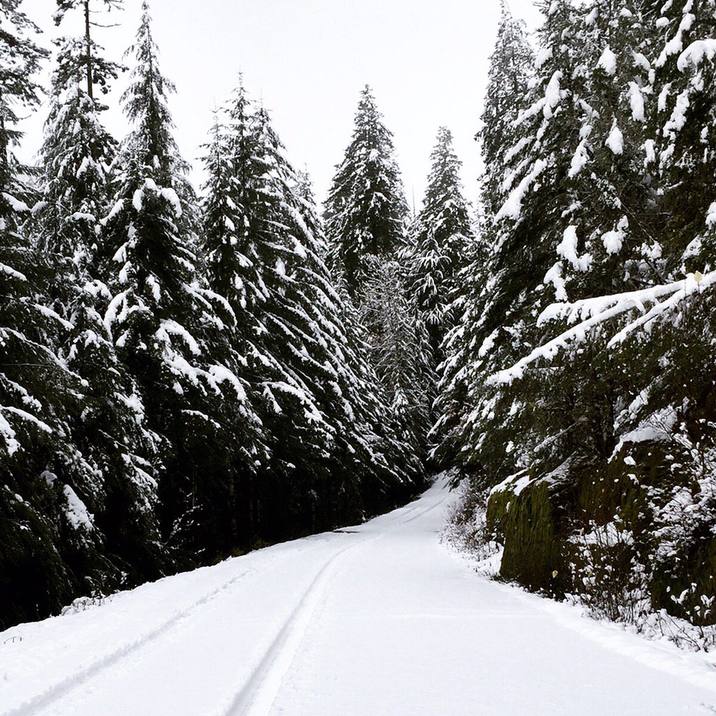 Sol Duc Road was closed Sunday after snow blanketed much of the Olympic Mountains to an elevation of about 2