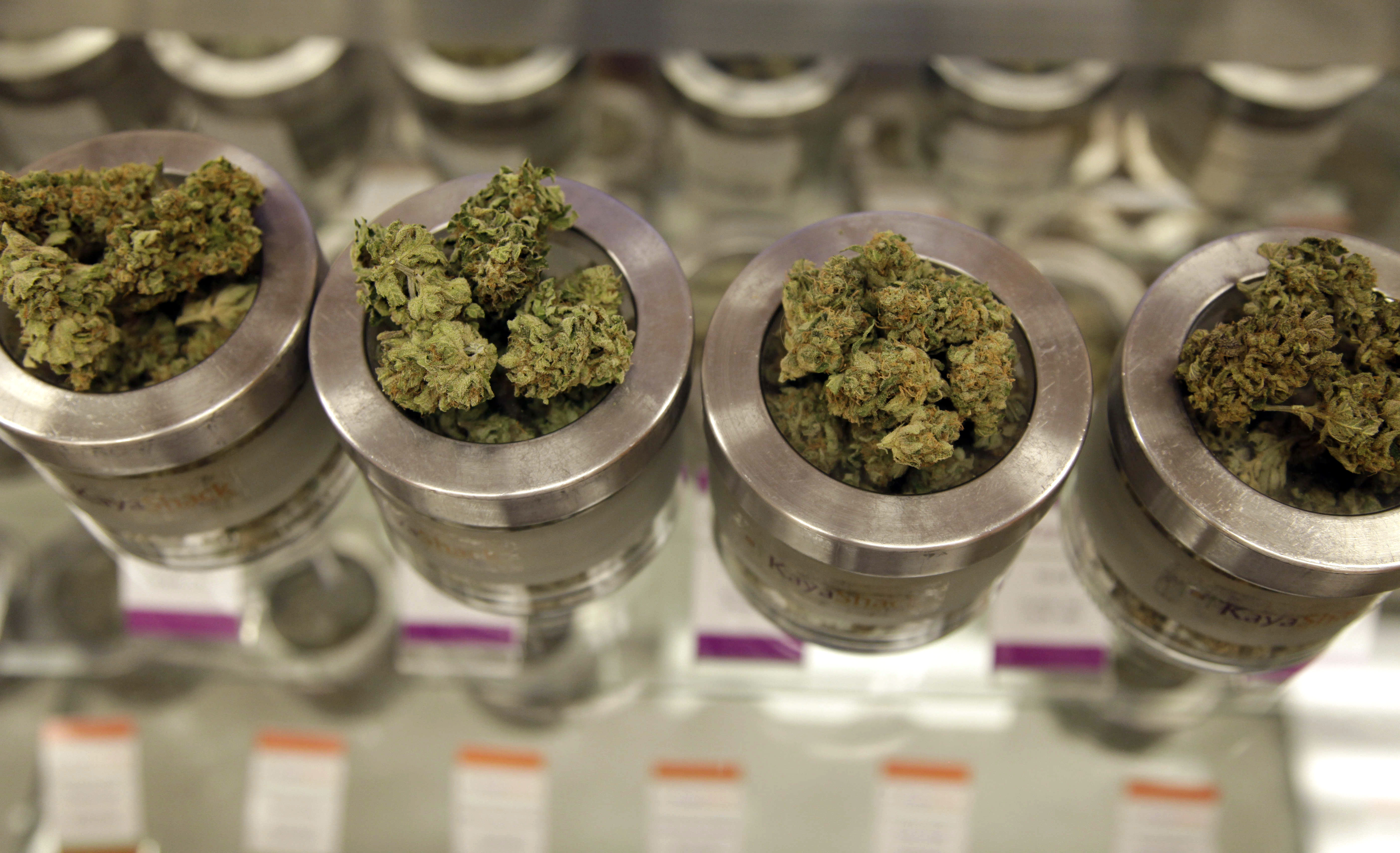 Different varieties of marijuana flowers are displayed at medical marijuana dispensary in Portland