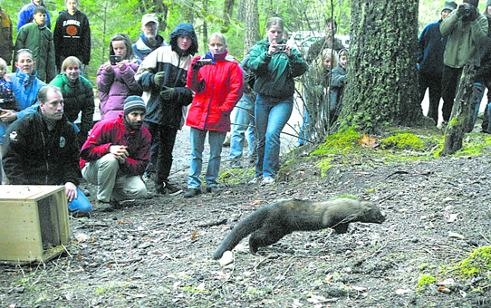 A group of wildlife enthusiasts