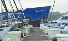 The rusting hull of the New Star towers over the pleasure craft at Port Ludlow Marina. Charlie Bermant/Peninsula Daily News