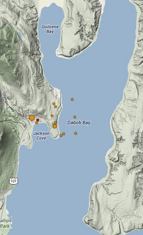 Orange dots plotted by the Pacific Northwest Seismic Network show the locations of the swarm of small earthquakes in the southern Dabob Bay area Thursday night and early today. The largest dots represent the largest quakes: magnitude 3.4 and 2.8. The red dot is the latest micro quake.