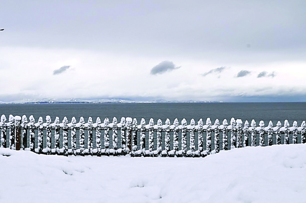 Robert Reed's images of Port Angeles and environs are filling Oven Spoonful