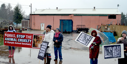 Protesters stand in front of the pink warehouse earlier this month that formerly housed more than 120 dogs as Olympic Animal Sanctuary in Forks. (Earlier reports that the trailer to the left of the building was used in Saturday's evacuation were unfounded.) Joe Smillie/Peninsula Daily News