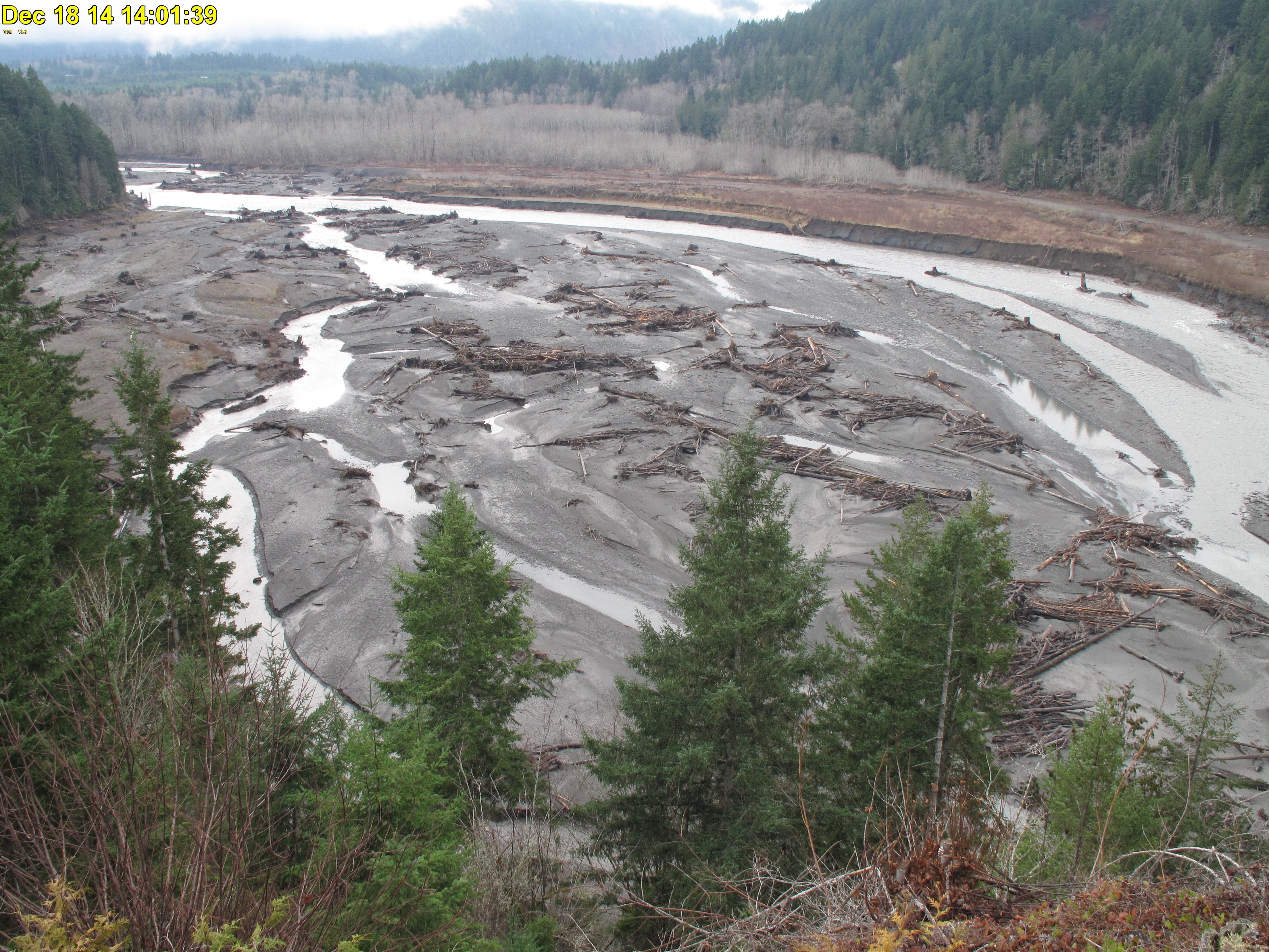 Webcam image showing the bed of the former Lake Aldwell on Dec. 18 following three storms that raised the Elwha River's flow significantly. National Park Service