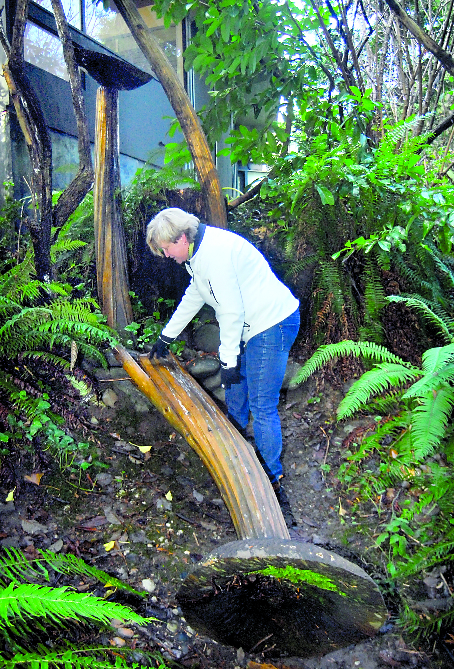 Port Angeles Fine Arts Center Executive Director Robin Anderson looks over a fallen portion of “Cedrus Cantherlus