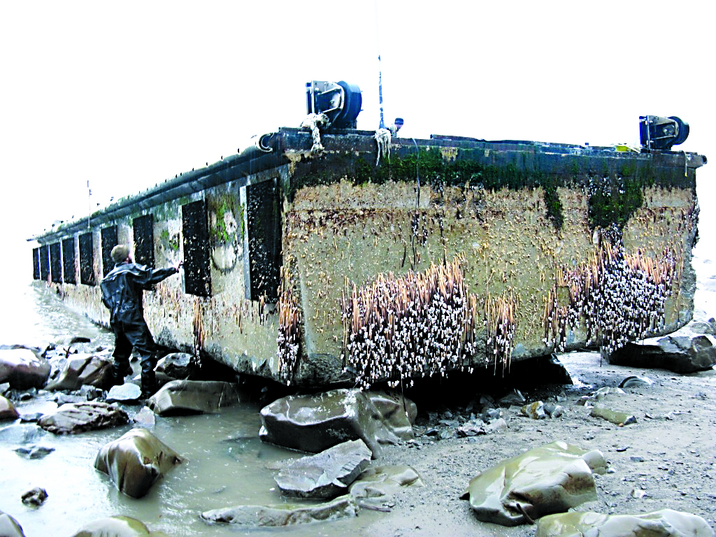 Researchers examine a dock that washed ashore between LaPush and the Hoh River on the Pacific Coast of the North Olympic Peninsula. Washington Department of Fish and Wildlife