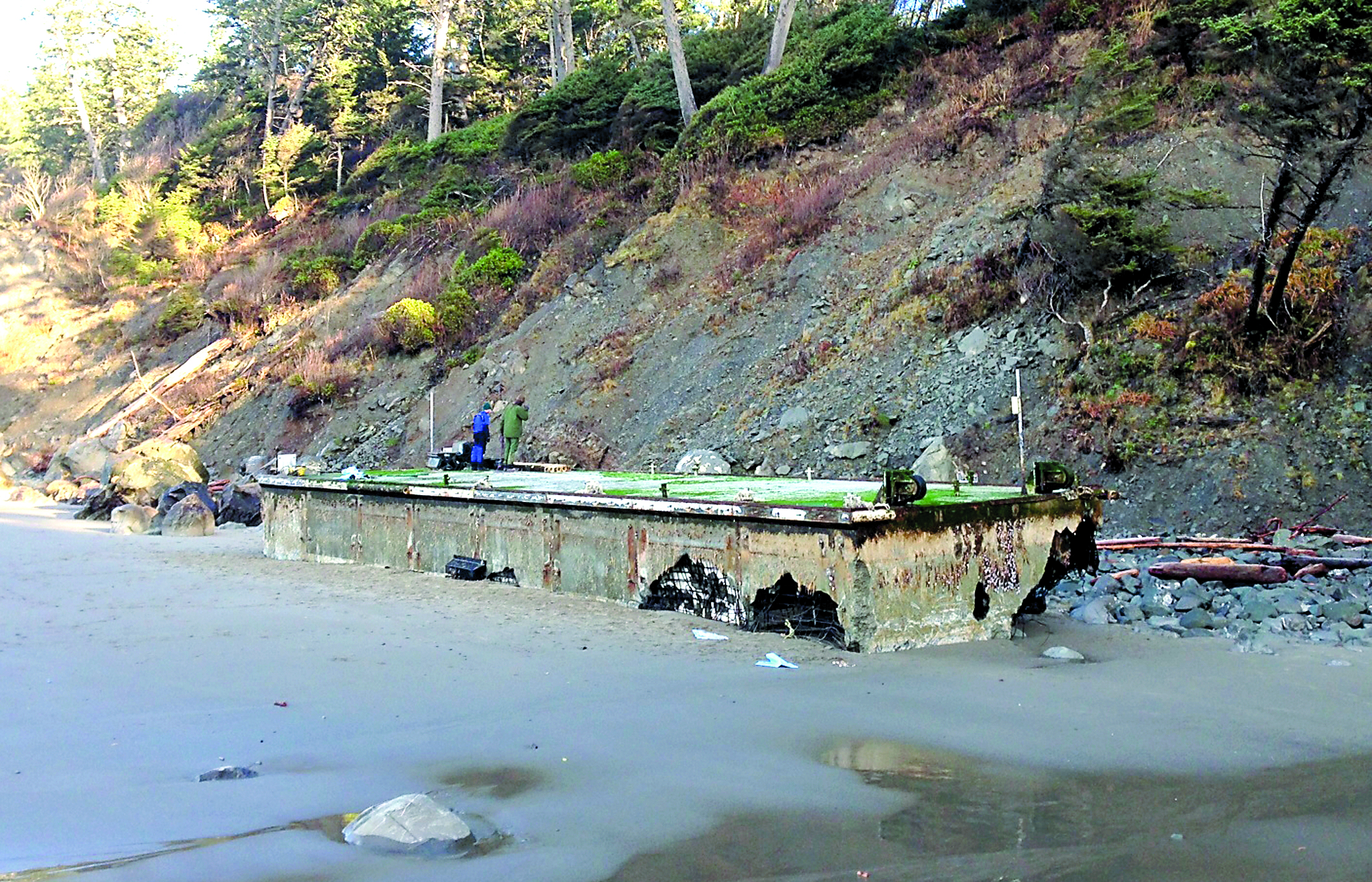 Beached dock believed from Japanese tsunami cleared of marine life, left in place