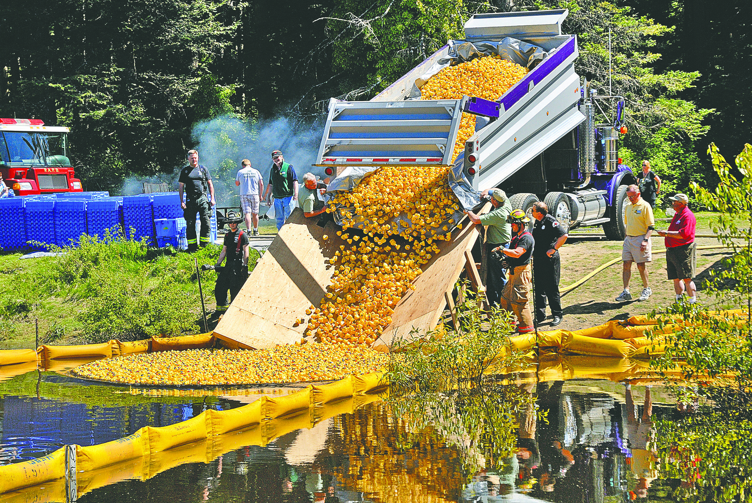 Thousands of plastic ducks tumble out of a dump truck and into the Lincoln Park pond during the 23rd annual Great Olympic Peninsula Duck Derby in Port Angeles last year.  -- Peninsula Daily News photo