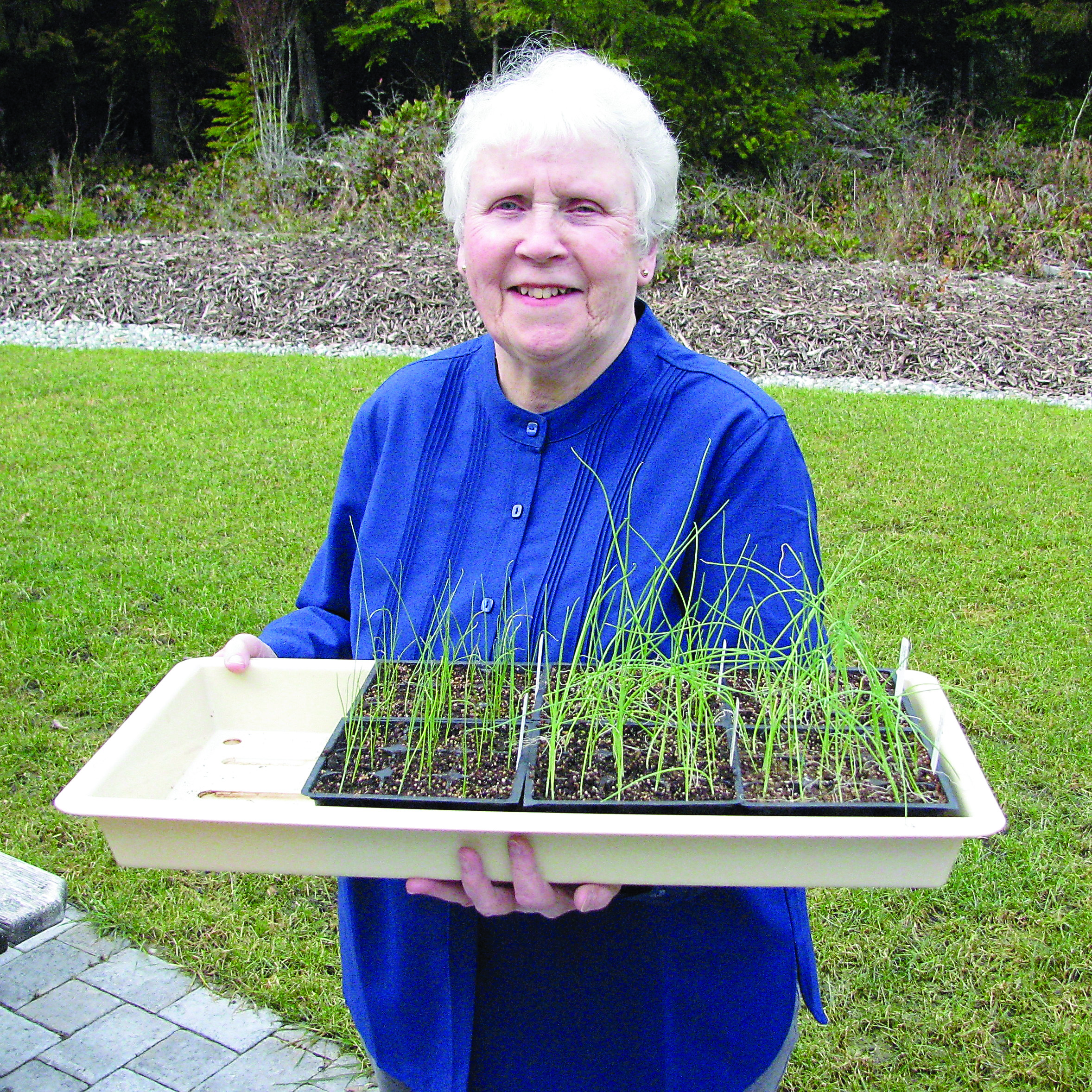 Veteran Washington State University Clallam County Master Gardener Lois Bellamy will present “Starting Seeds Indoors” from noon to 1 p.m. Thursday in the county commissioners’ meeting room of the Clallam County Courthouse in Port Angeles.