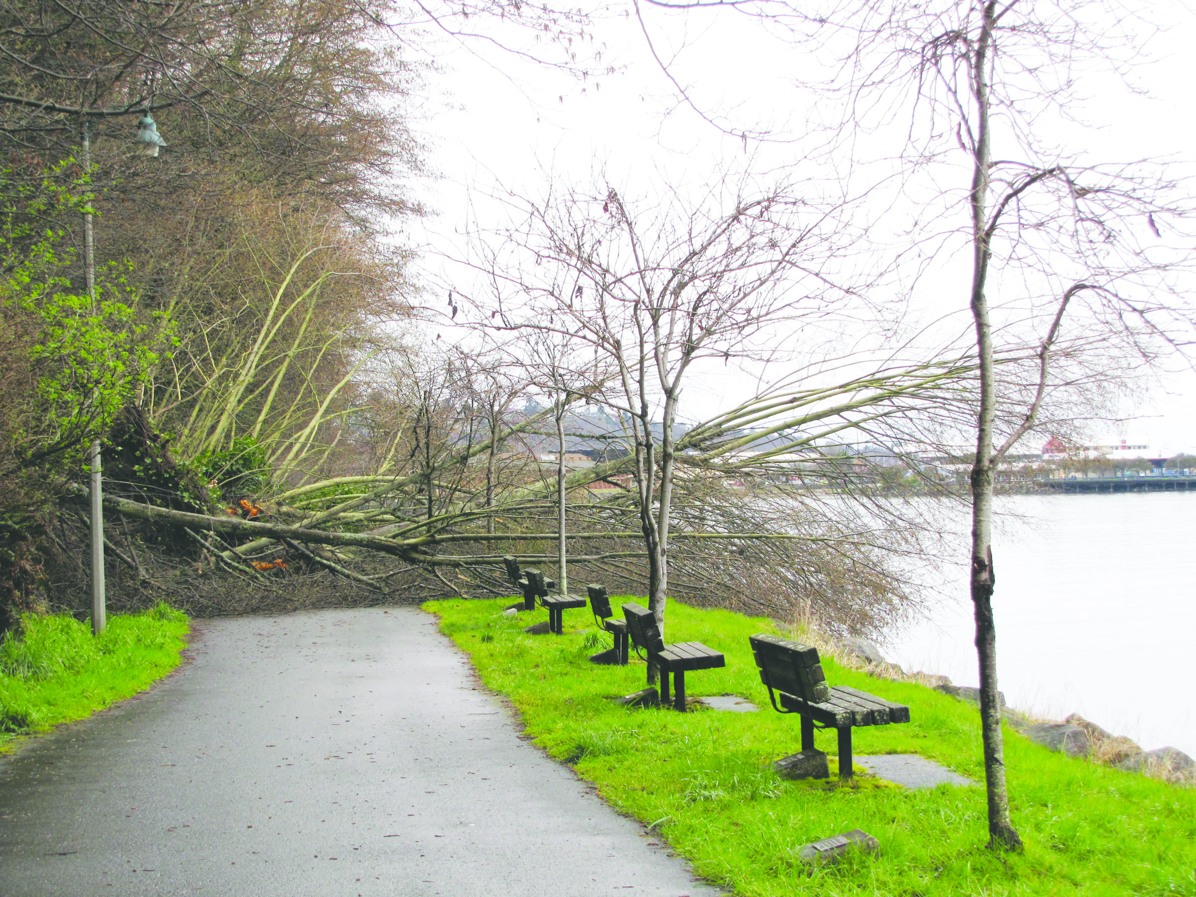 A landslide blocks the Olympic Discovery Trail between North Francis Street and City Pier in Port Angeles on Sunday afternoon. The slide covered the path in several feet of mud